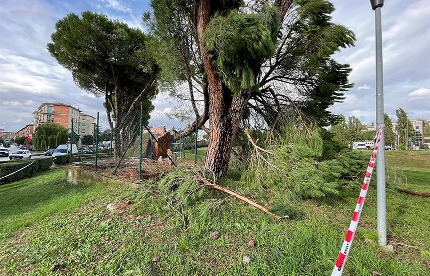 Susanna Cenni, Poggibonsi: 'Ieri, un pomeriggio complicato'