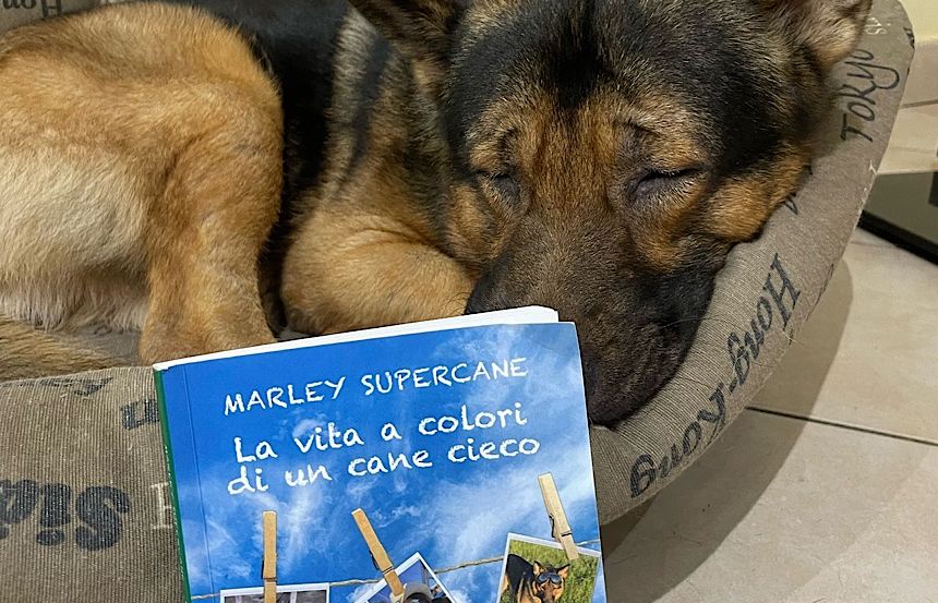 Marley Supercane presenta il libro a Sanremo: 'La vita a colori di un cane cieco'